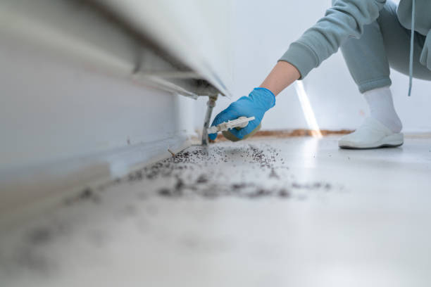 Best Pest Removal Services  in Grand Canyon Village, AZ